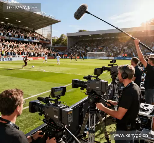 为什么选择我们